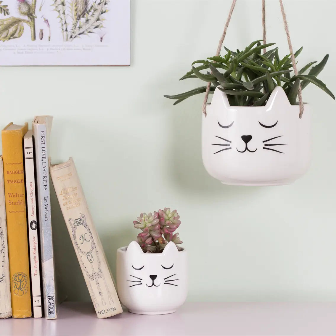 Aubie - Mini Cat's Whiskers Planter