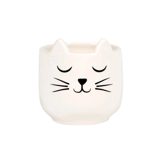 Aubie - Mini Cat's Whiskers Planter