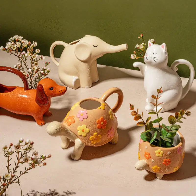 Alla Cat Watering Can